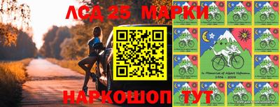 индика Гагарин