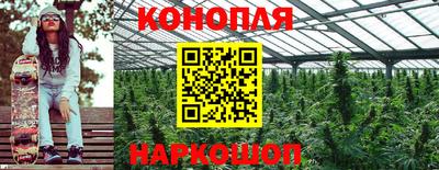 индика Гагарин