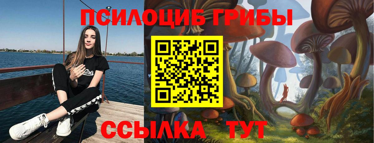 Галлюциногенные грибы мицелий Назрань